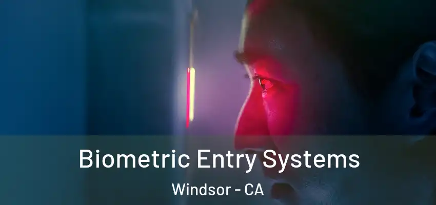  Biometric Entry Systems Windsor - CA